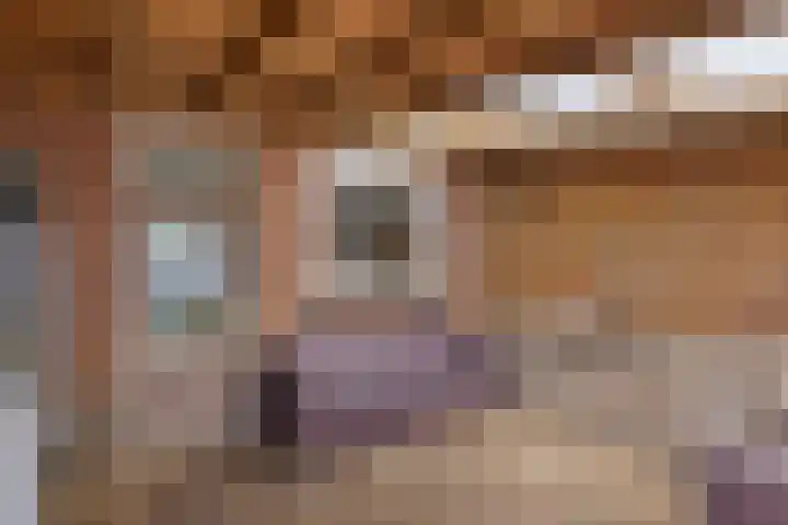 Willem van Oranjestraat 6 Poederoijen thumbnail 24
