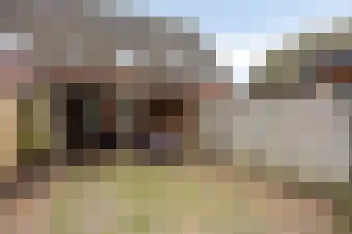 Willem van Oranjestraat 6 Poederoijen thumbnail 26
