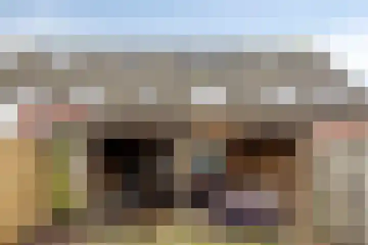 Willem van Oranjestraat 6 Poederoijen thumbnail 27