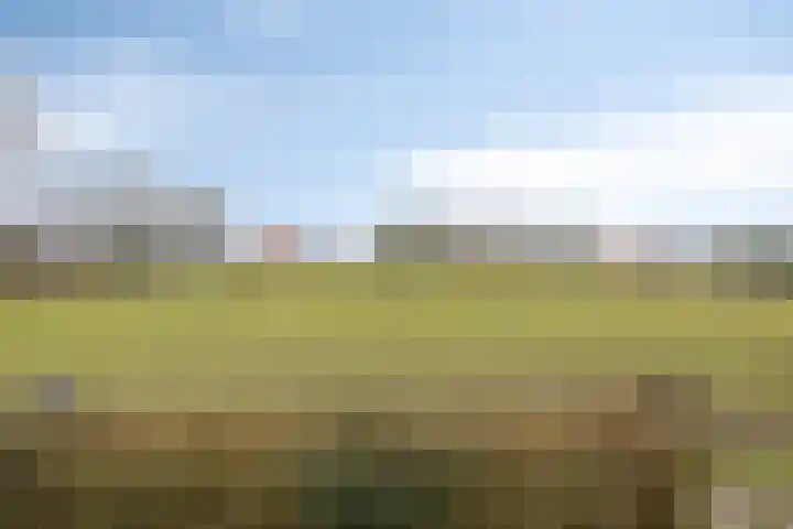 Willem van Oranjestraat 6 Poederoijen thumbnail 29