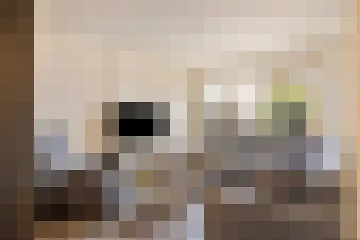 Willem van Oranjestraat 6 Poederoijen thumbnail 5