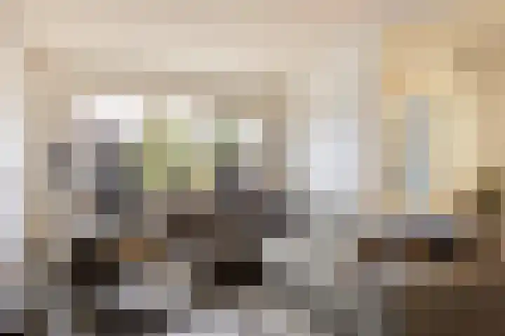 Willem van Oranjestraat 6 Poederoijen thumbnail 6