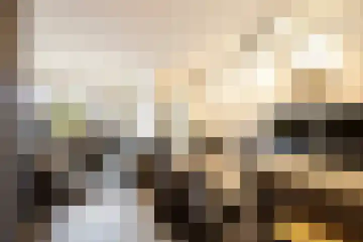 Willem van Oranjestraat 6 Poederoijen thumbnail 7