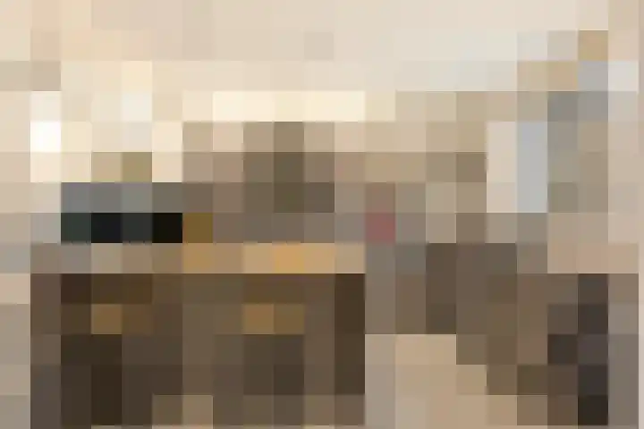 Willem van Oranjestraat 6 Poederoijen thumbnail 9