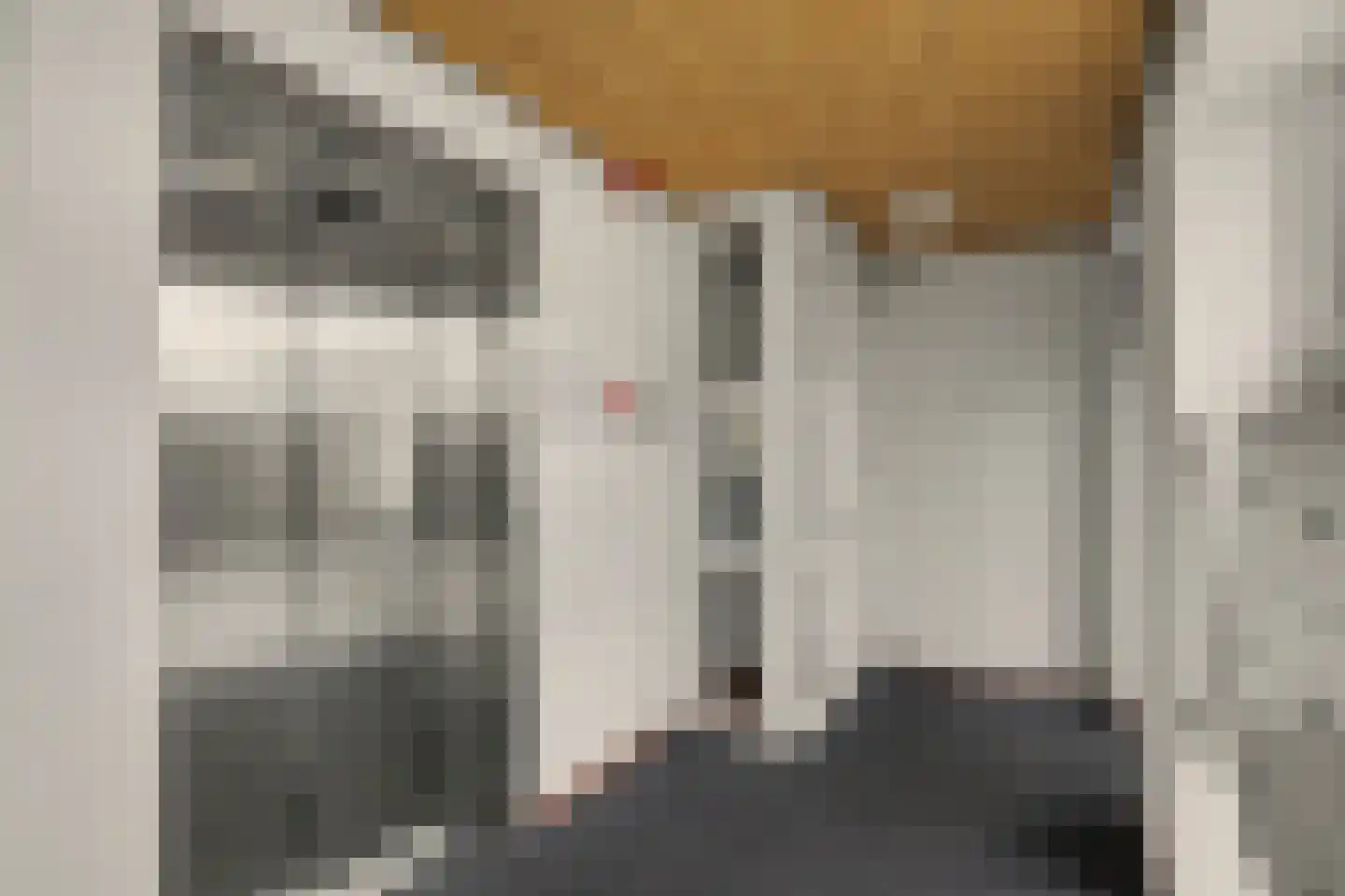 Willem van Oranjestraat 67 Geertruidenberg thumbnail 32