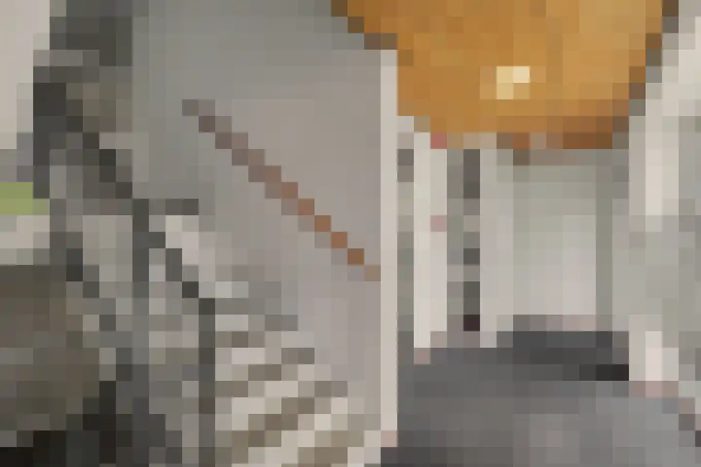 Willem van Oranjestraat 67 Geertruidenberg thumbnail 33