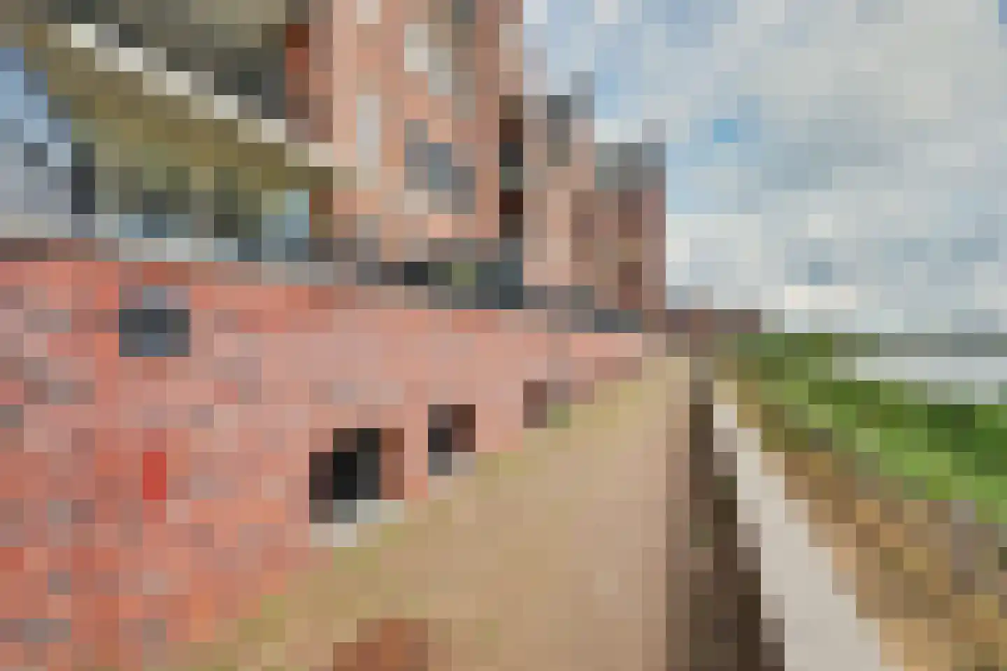 Willem van Oranjestraat 67 Geertruidenberg thumbnail 44