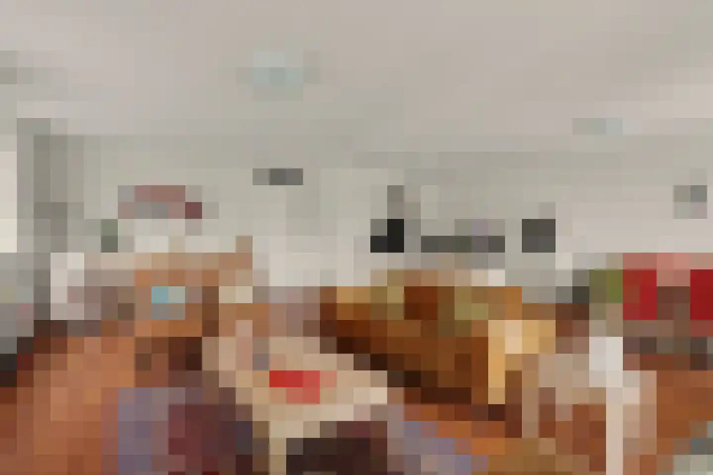 Willem van Oranjestraat 67 Geertruidenberg thumbnail 6