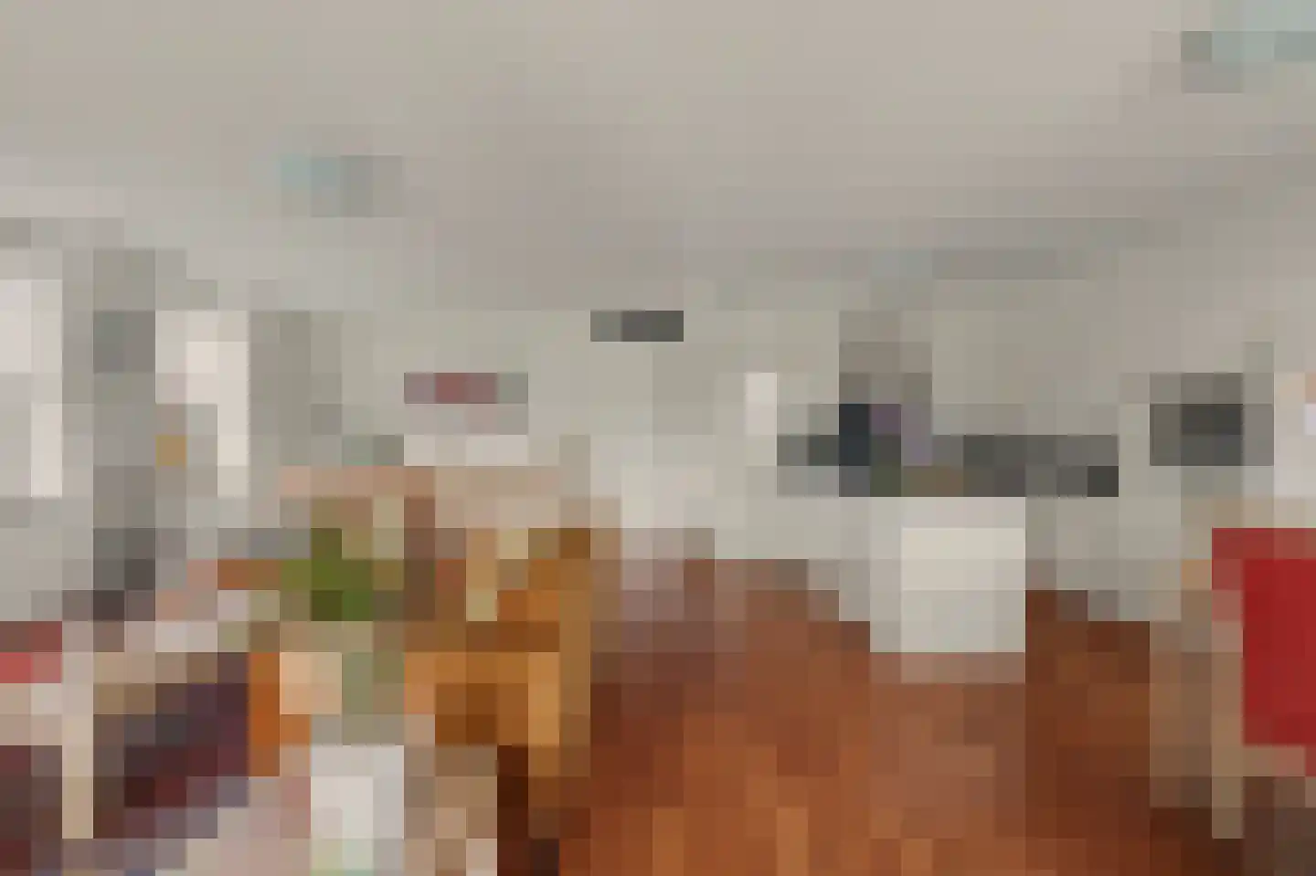 Willem van Oranjestraat 67 Geertruidenberg thumbnail 9