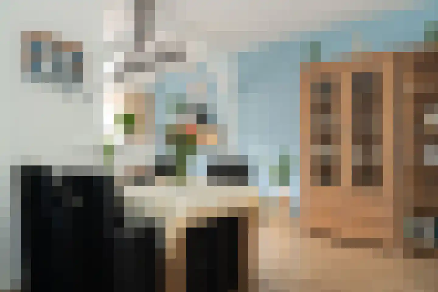 Willem van Oranjestraat 88 Epe thumbnail 10
