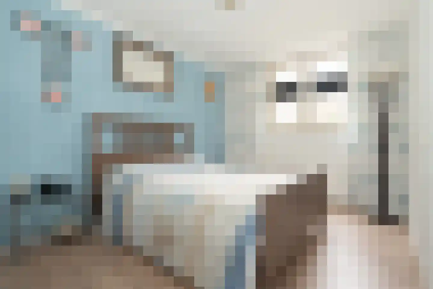 Willem van Oranjestraat 88 Epe thumbnail 18