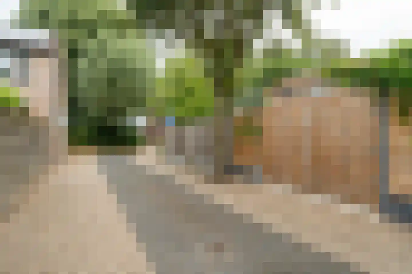Willem van Oranjestraat 88 Epe thumbnail 32