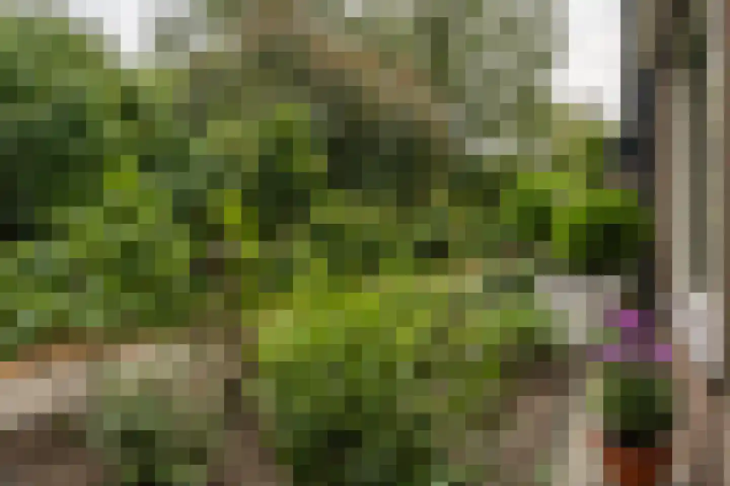 Willem van Oranjestraat 88 Epe thumbnail 5