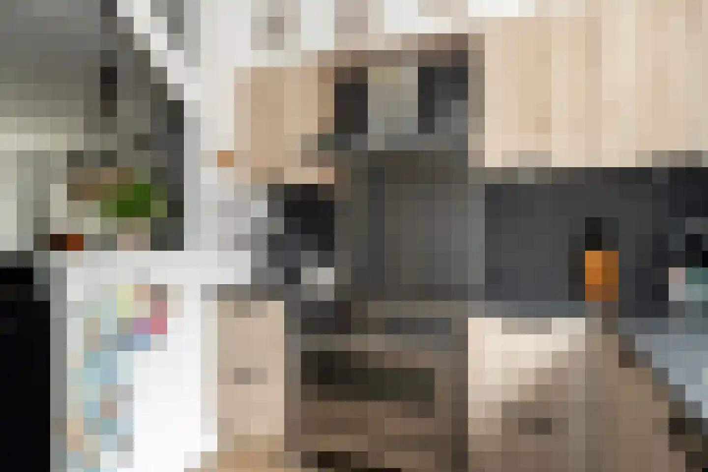 Willem van Oranjestraat 88 Epe thumbnail 9