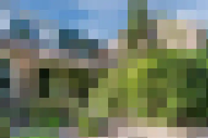 Willem van Oranjestraat 9 Epe thumbnail 4