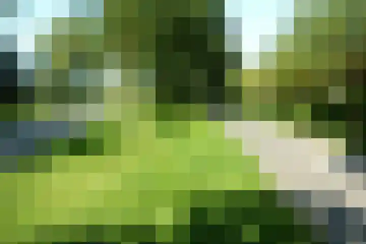 Willem van Otterloolaan 18 Oegstgeest thumbnail 4