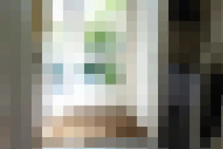 Willem van Otterloolaan 18 Oegstgeest thumbnail 5