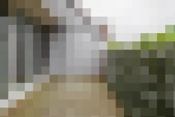 Willem van Otterloostraat 15 Hengelo thumbnail 21