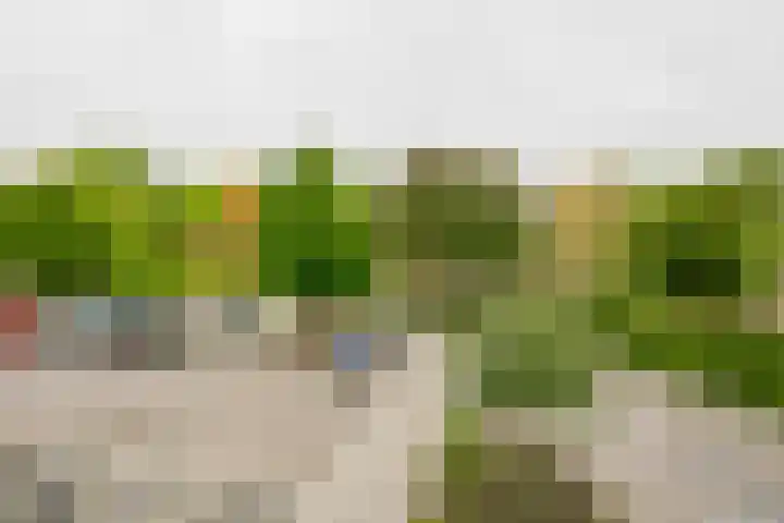 Willem van Otterloostraat 15 Hengelo thumbnail 22