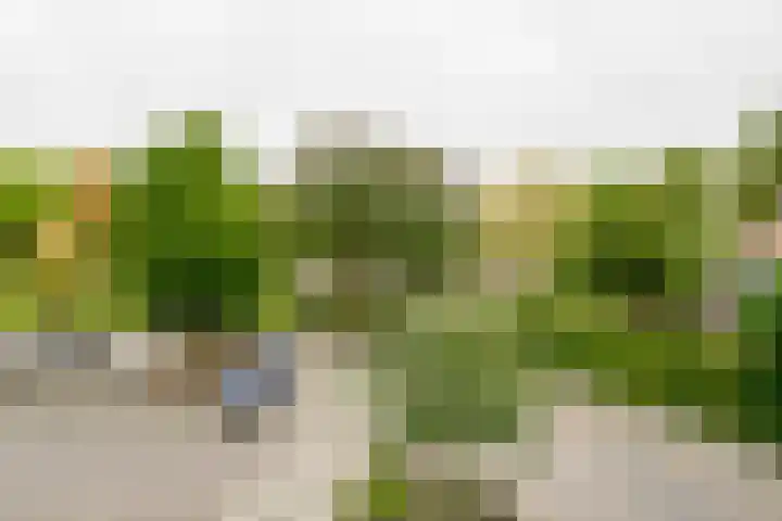 Willem van Otterloostraat 15 Hengelo thumbnail 23