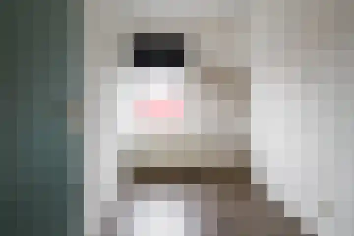 Willem van Otterloostraat 15 Hengelo thumbnail 5