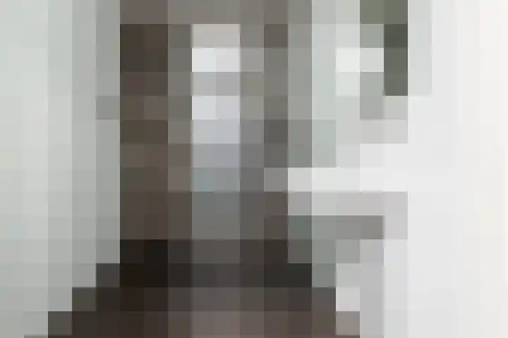 Willem van Otterloostraat 15 Hengelo thumbnail 9