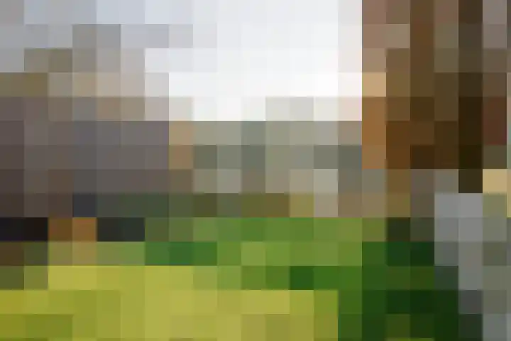 Willem van Otterloostraat 2 Hengelo thumbnail 30