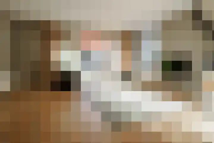 Willem van Otterloostraat 2 Hengelo thumbnail 7