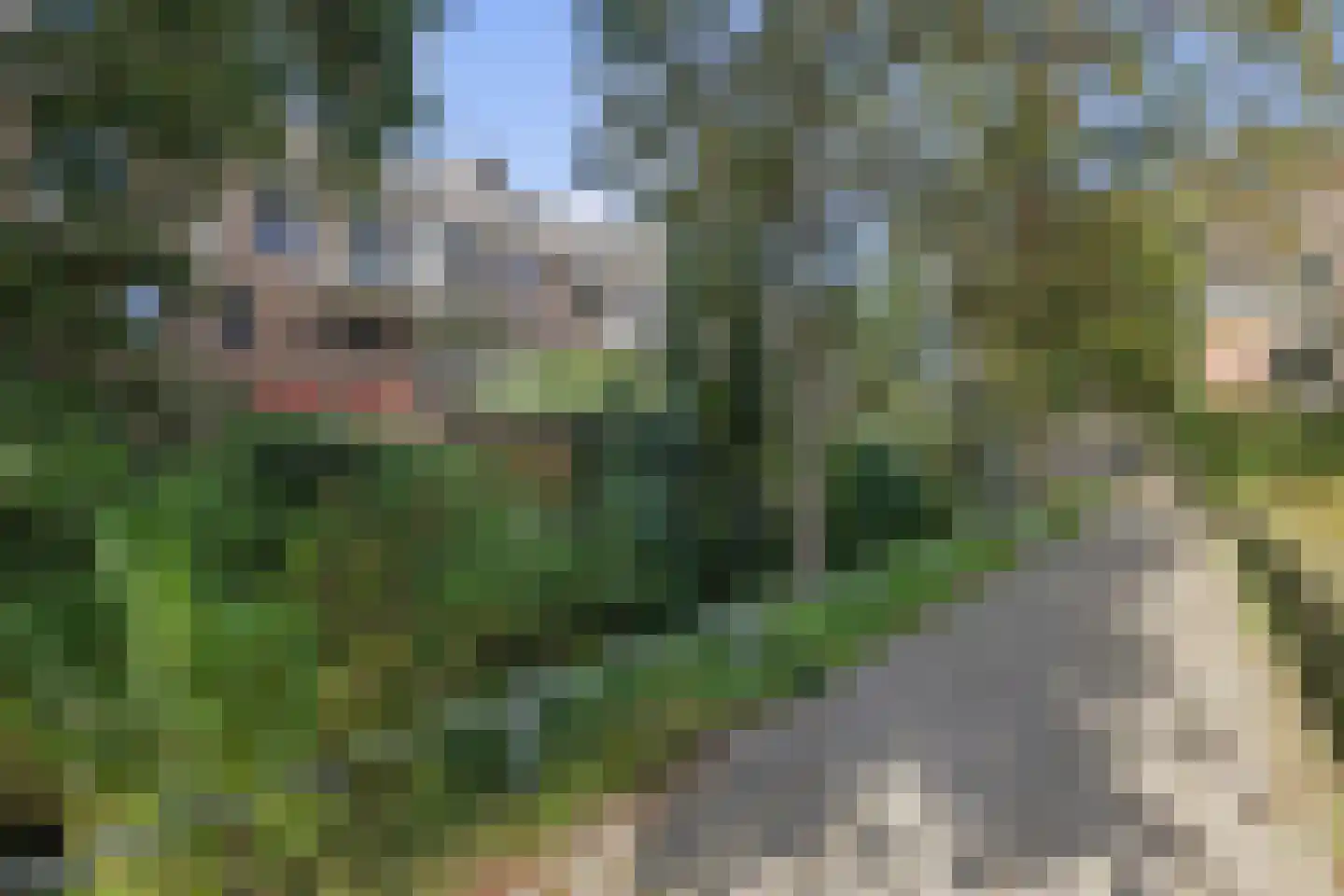Willem van Otterloostraat 21 Amersfoort thumbnail 41