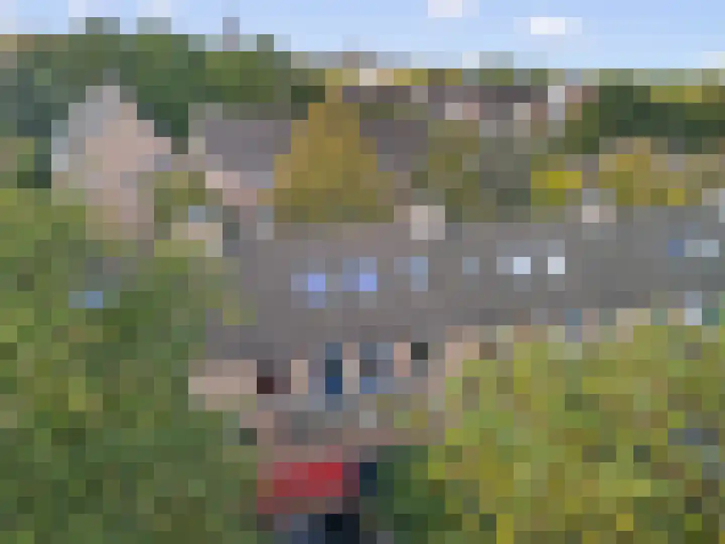 Willem van Otterloostraat 21 Amersfoort thumbnail 5