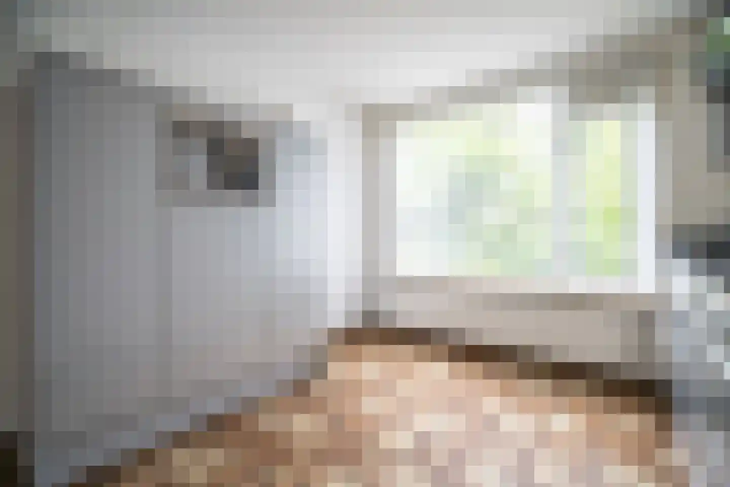 Willem van Otterloostraat 3 Leiderdorp thumbnail 10