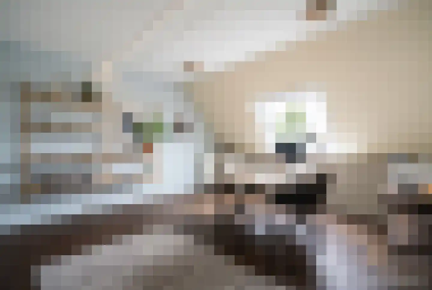 Willem van Otterloostraat 3 Leiderdorp thumbnail 45