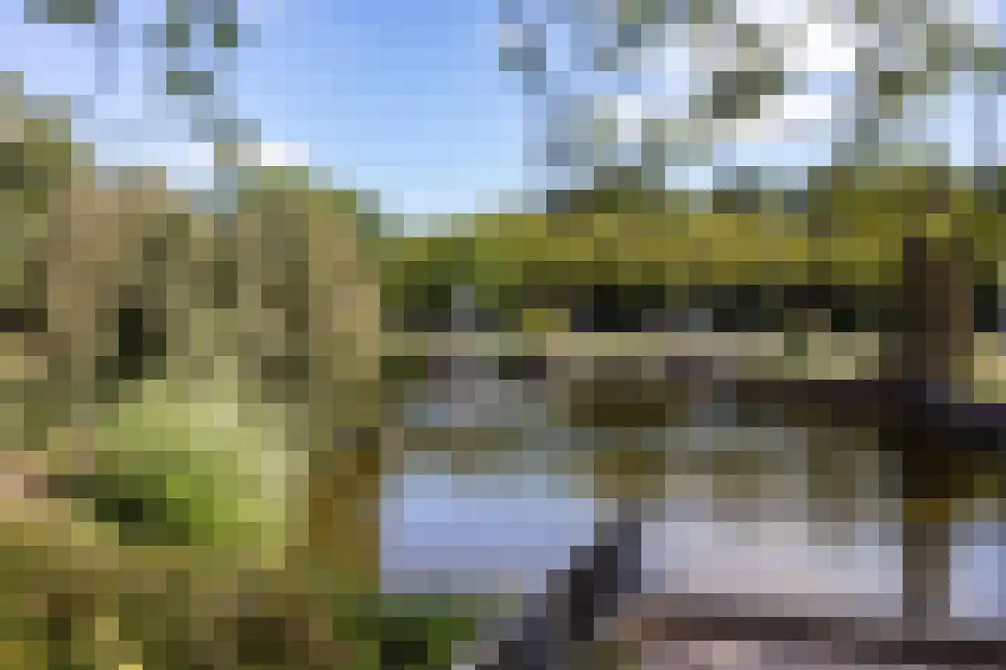 Willem van Otterloostraat 4 Hengelo thumbnail 41