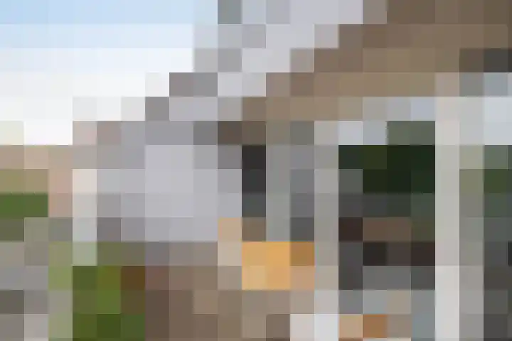 Willem van Otterloostraat 49 Hengelo thumbnail 15