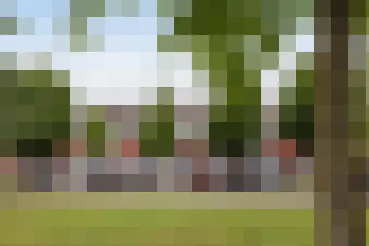 Willem van Otterloostraat 49 Hengelo thumbnail 22