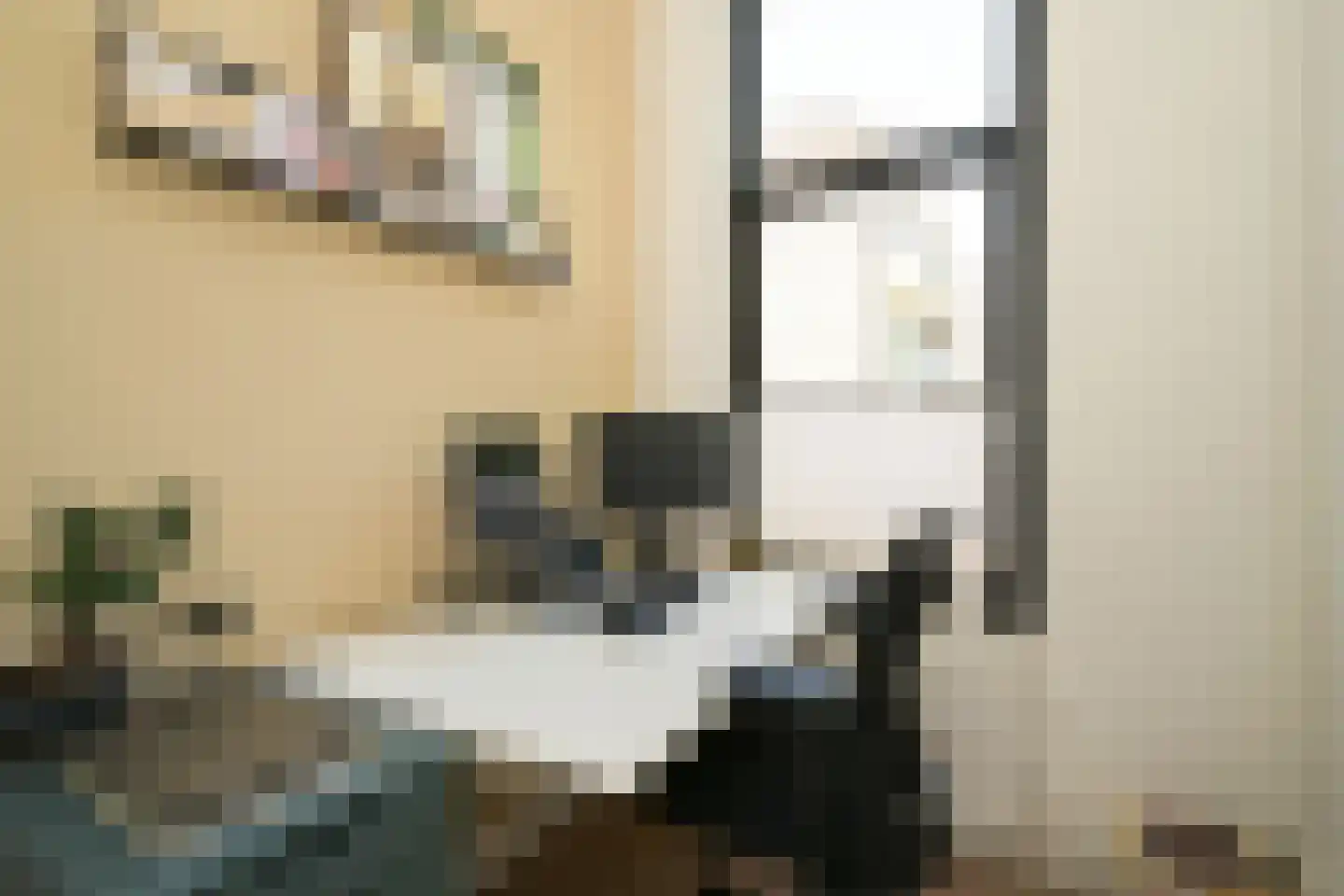 Willem van Outhoornstraat 15 Den Haag thumbnail 11
