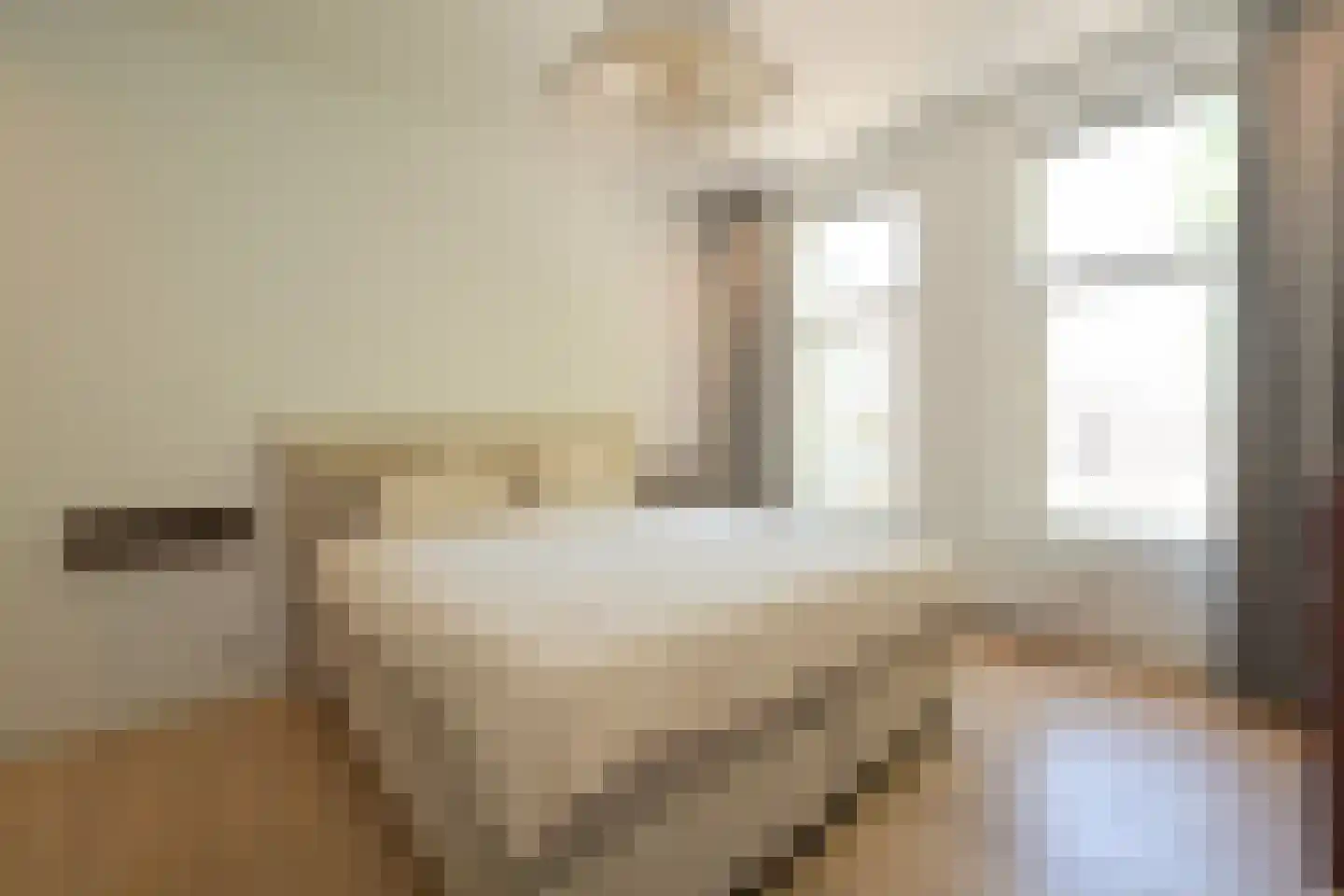 Willem van Outhoornstraat 15 Den Haag thumbnail 14