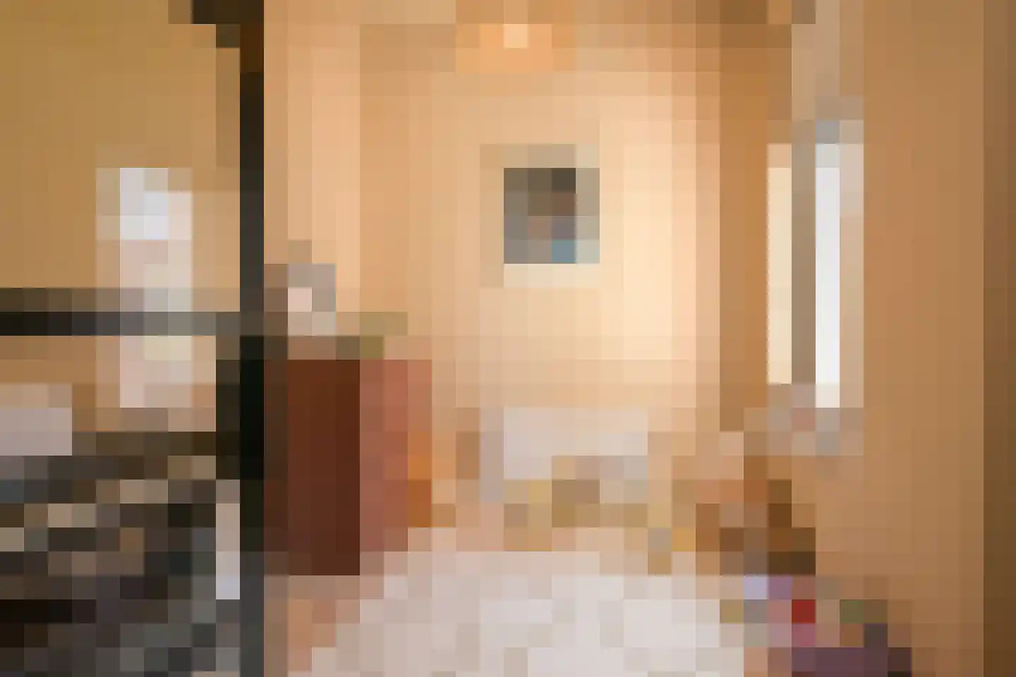 Willem van Outhoornstraat 15 Den Haag thumbnail 6