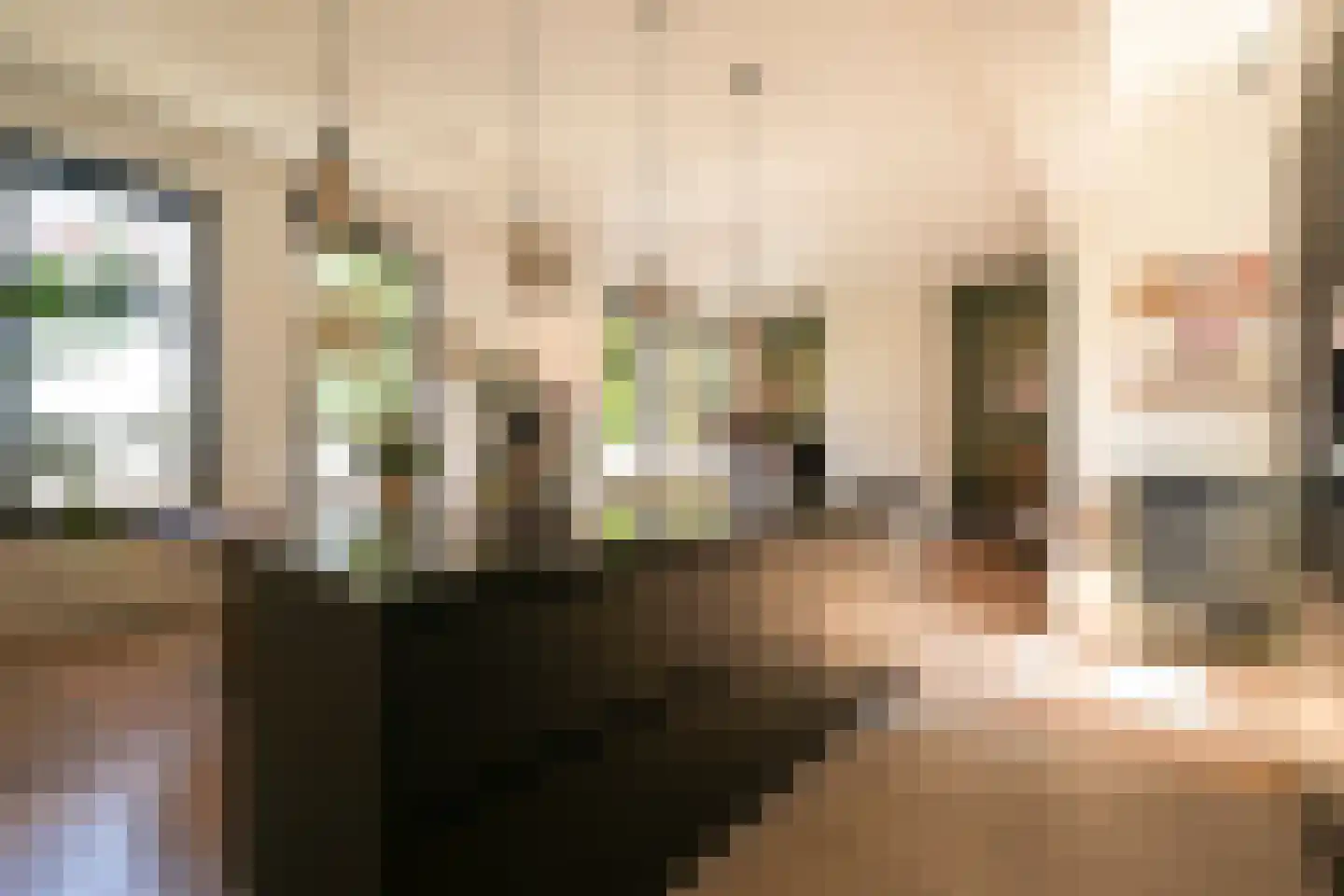 Willem van Outhoornstraat 15 Den Haag thumbnail 8