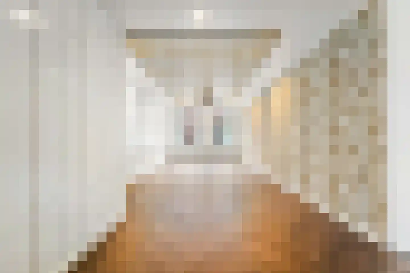 Willem van Outhoornstraat 42 Den Haag thumbnail 10