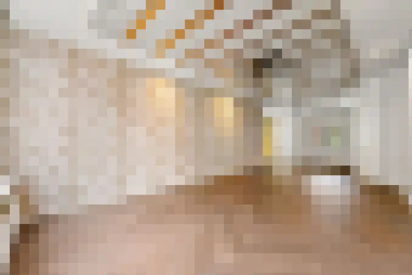 Willem van Outhoornstraat 42 Den Haag thumbnail 11