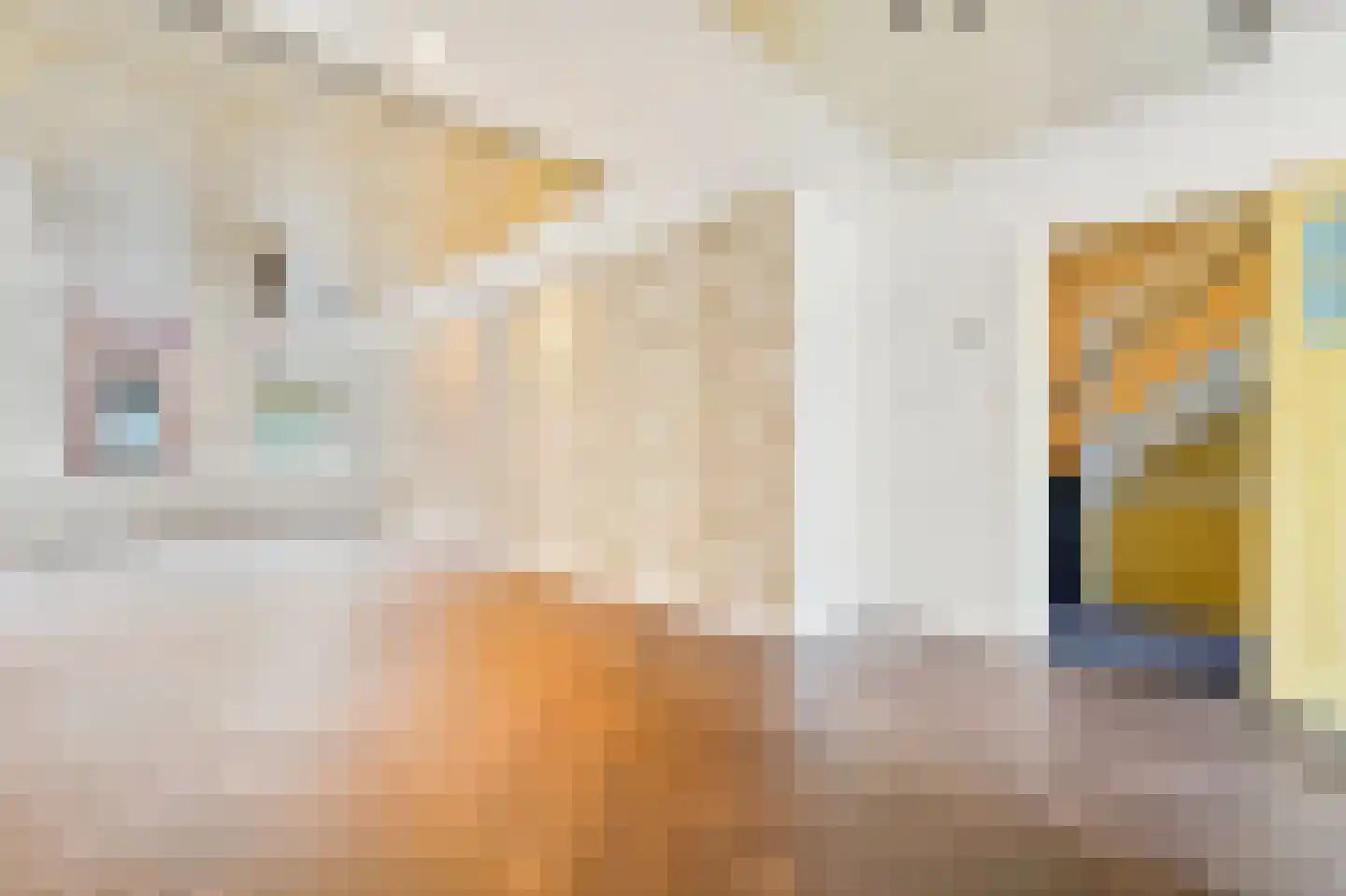 Willem van Outhoornstraat 42 Den Haag thumbnail 12