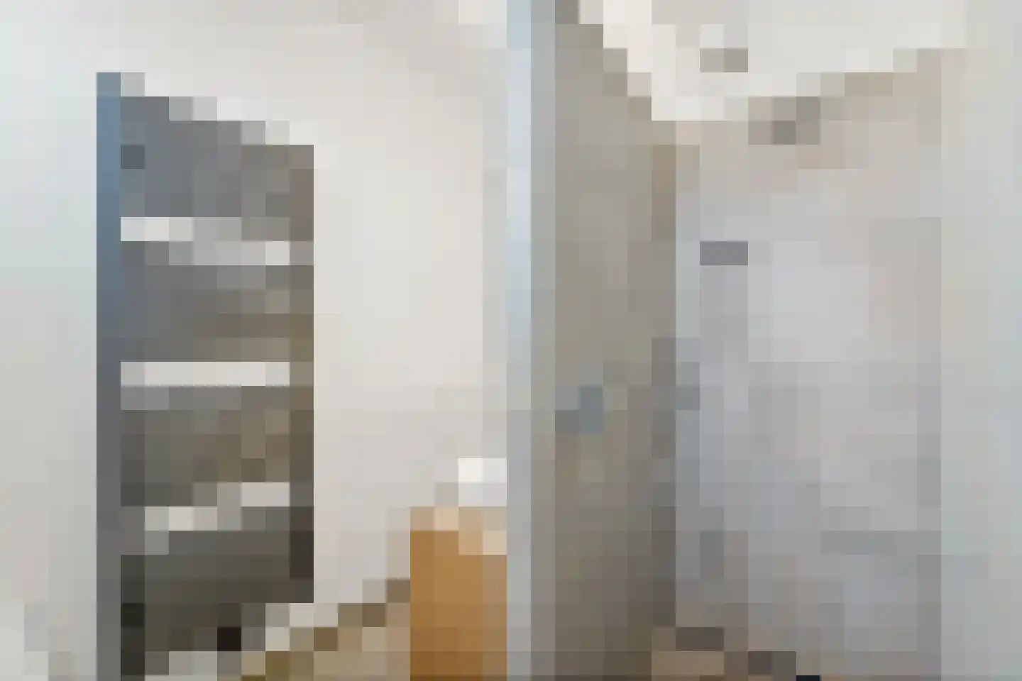 Willem van Outhoornstraat 42 Den Haag thumbnail 28