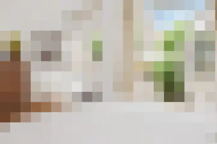 Willem van Outhoornstraat 64 Den Haag thumbnail 37