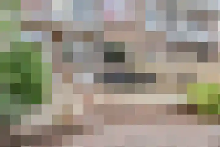 Willem van Outhoornstraat 64 Den Haag thumbnail 4