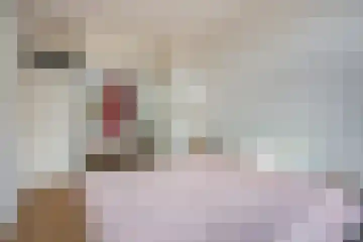 Willem van Outhoornstraat 66 Den Haag thumbnail 16