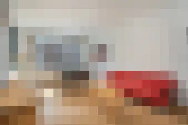 Willem van Outhoornstraat 66 Den Haag thumbnail 6