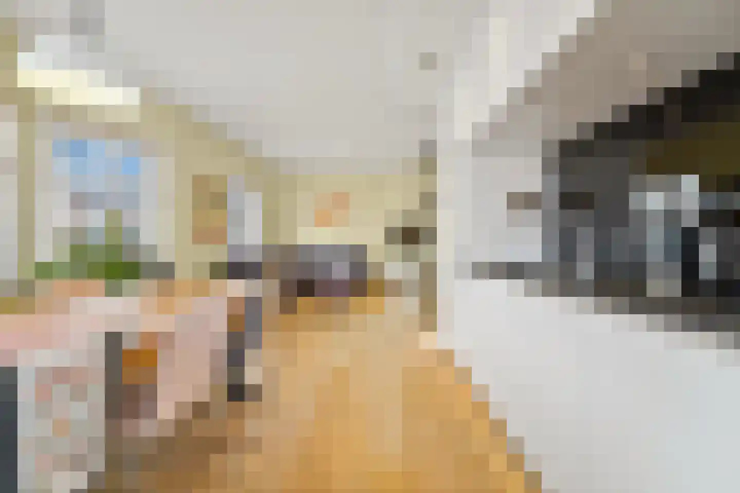 Willem van Outhoornstraat 69 Den Haag thumbnail 12