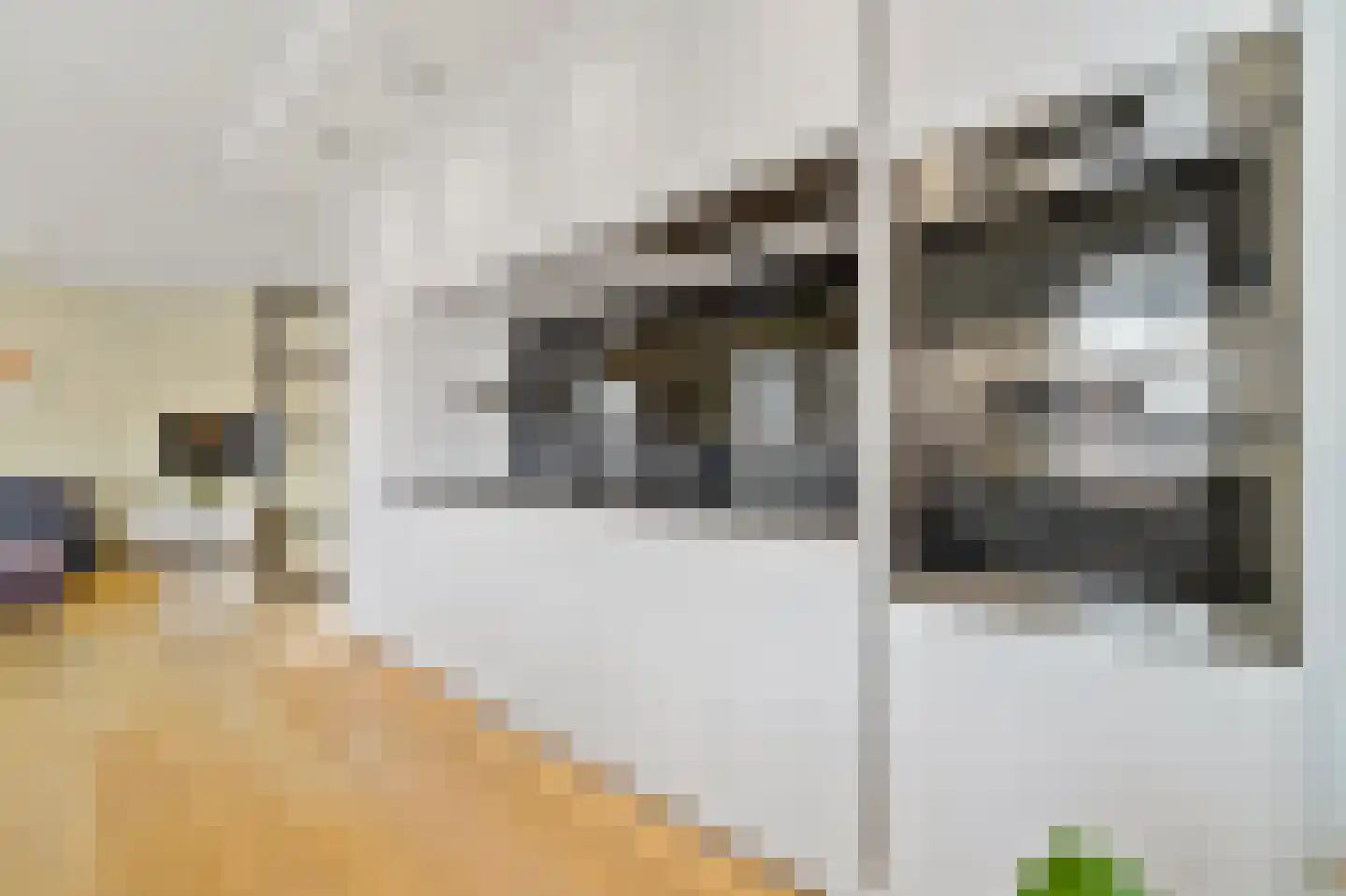 Willem van Outhoornstraat 69 Den Haag thumbnail 13