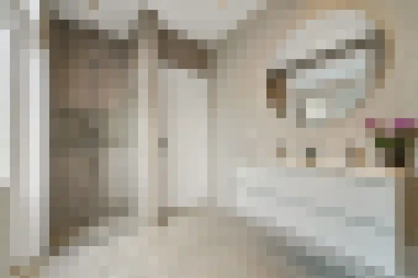 Willem van Outhoornstraat 69 Den Haag thumbnail 17